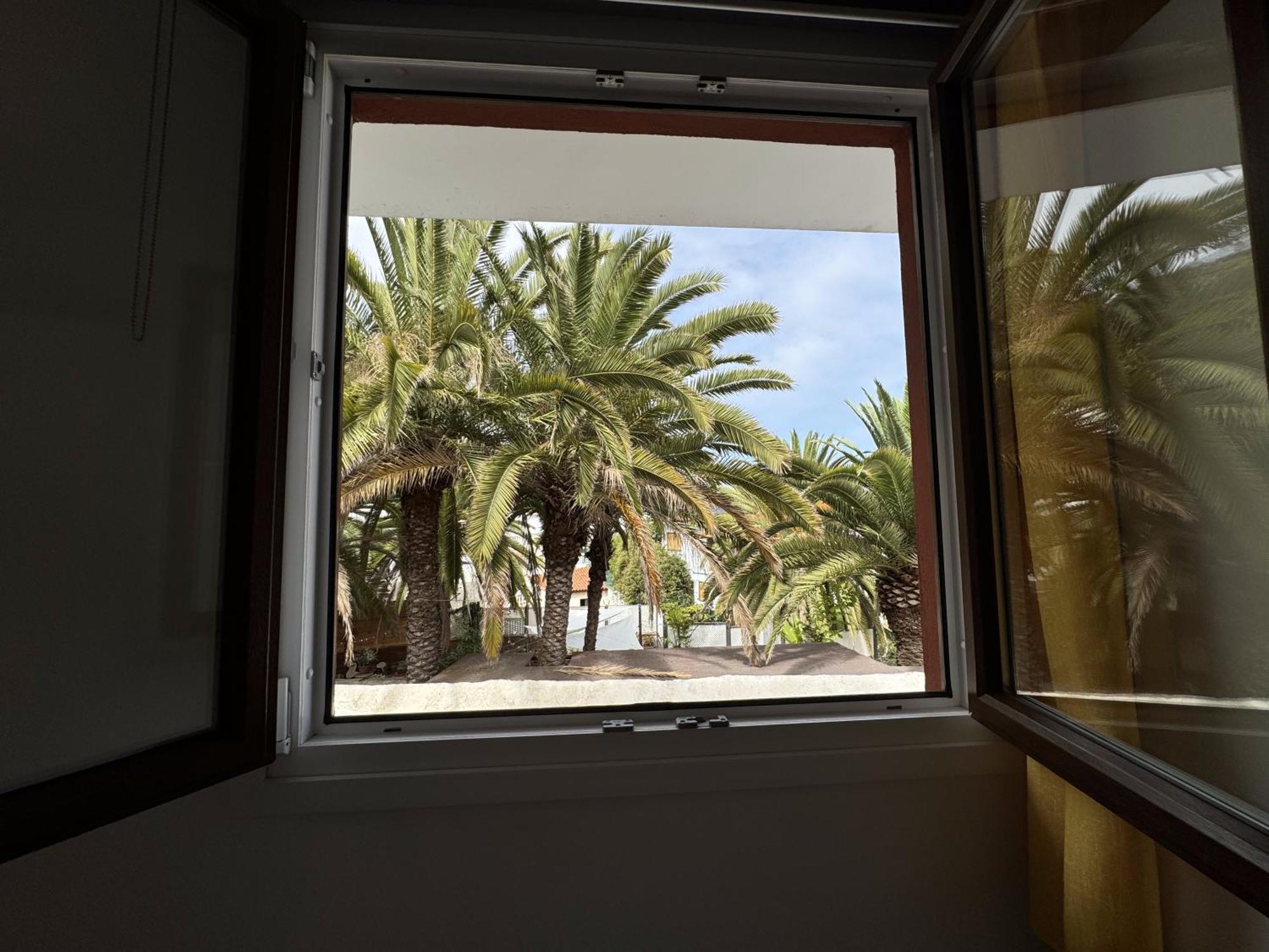 Phoenix Canariensis San Juan de la Rambla Exterior photo