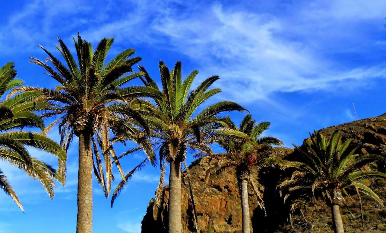 Phoenix Canariensis San Juan de la Rambla Exterior photo